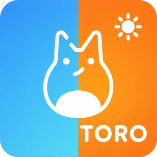 龙猫代跑